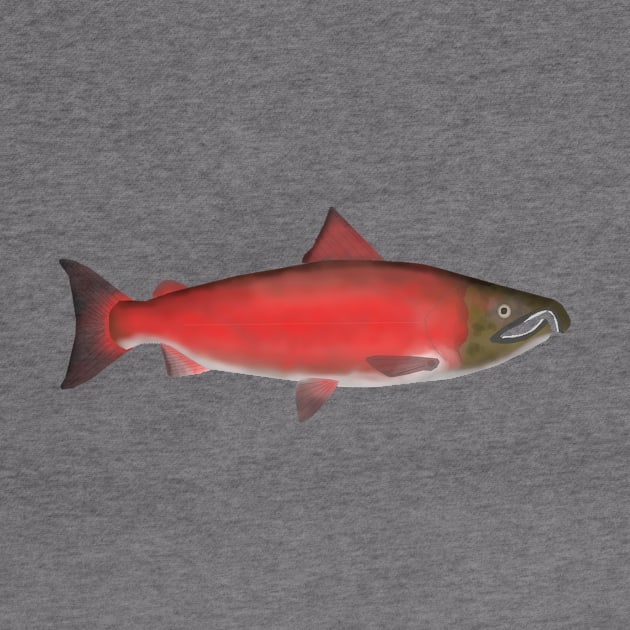 Coho Salmon - Spawn Phase by FishFolkArt